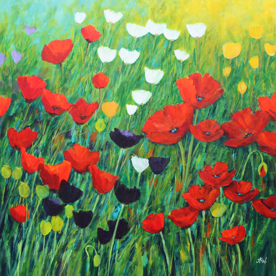 Poppies and Tulips in Bloom