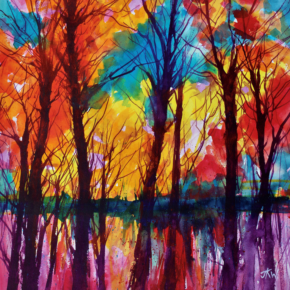 Woodland Reflections