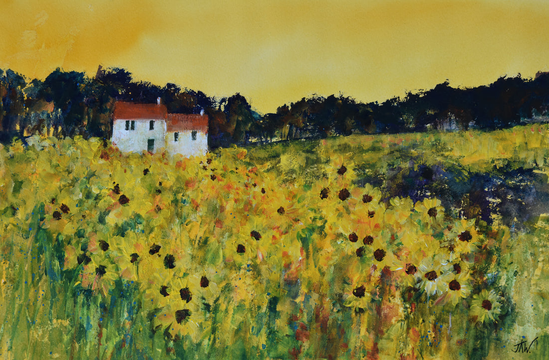 Italian Sunflower Fields | Canvas Print